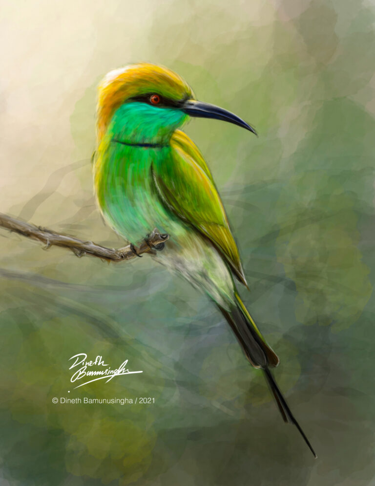 dineth-bamunusingha-bee-eater-merge