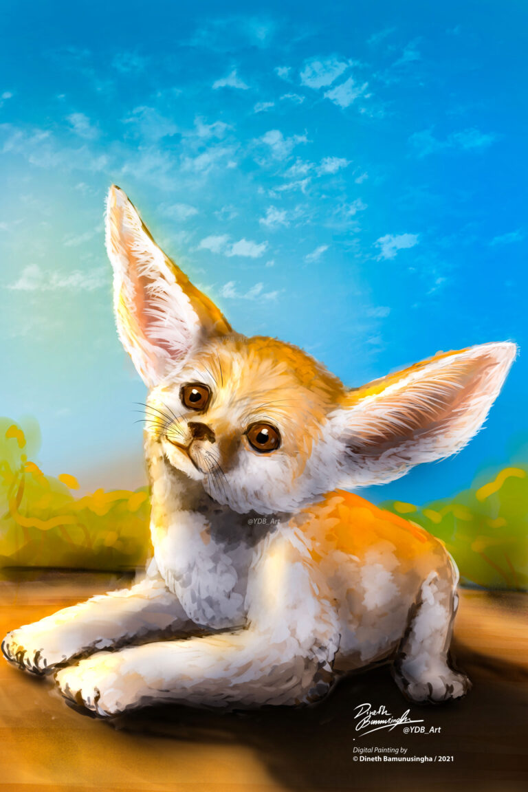 dineth-bamunusingha-ydb_art-fennec-fox-illustration-s