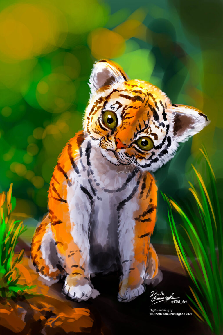 dineth-bamunusingha-ydb_art-tiger-cub-whiskers-insta